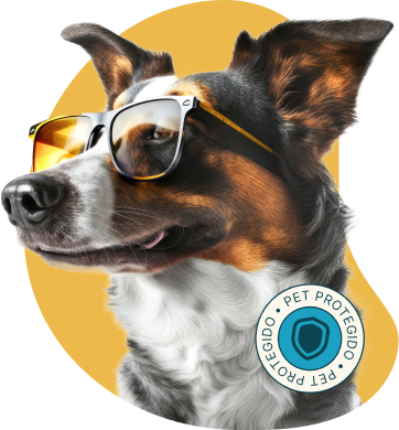 Pet Image
